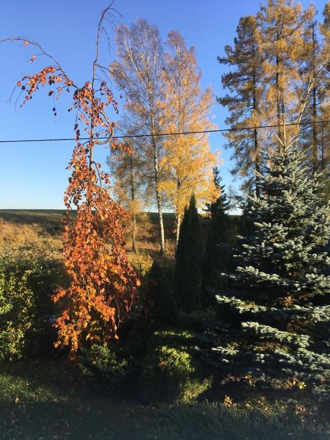 Penzion Kunvald Konciny Exterior foto